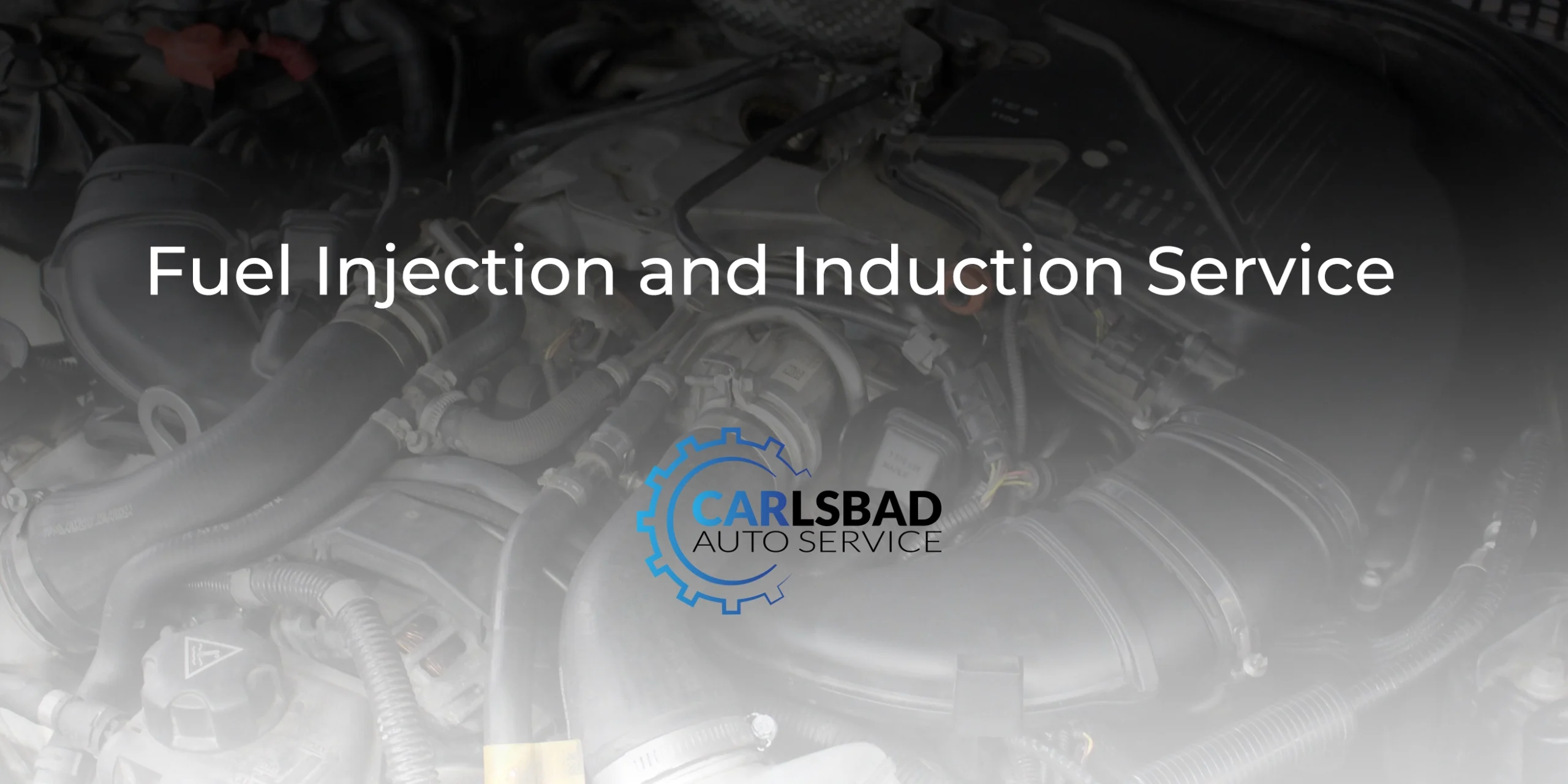 Fuel Injection and Induction Service