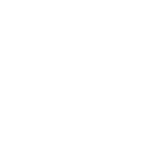 Check engine light icon