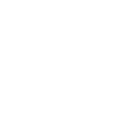 Tire icon